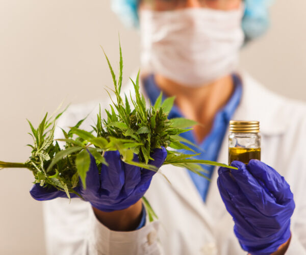 Cannabis for Pain